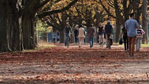 A few people walking and riding their bikes outside in a park surrounded by trees.