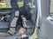 2010 Toyota Tacoma 4WD Access I4 MT (Natl)